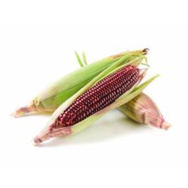 Red Corn Queen