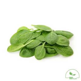 Cải Bó xôi baby (100g)