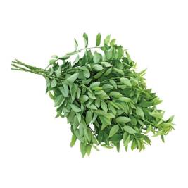 Katuk Japanese Yuthfarm (250g)