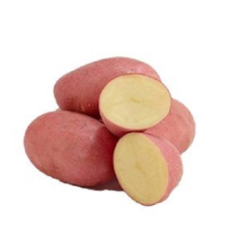 Potato US red (500g)