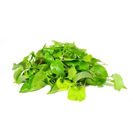 Lá Giang Hữu Cơ (100G)