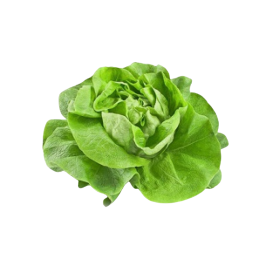 Butterhead lettuce (g)