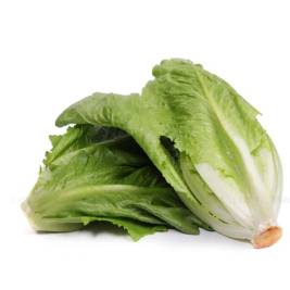 Hydroponic Romain (230g)