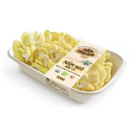 Mushroom Fresh Golden Oyster Organic (200g)