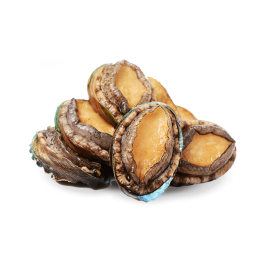 Bào ngư nguyên vỏ OG 5-6 con (500g)