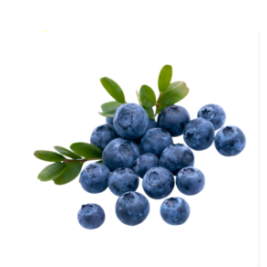NZL Blueberry (125g)