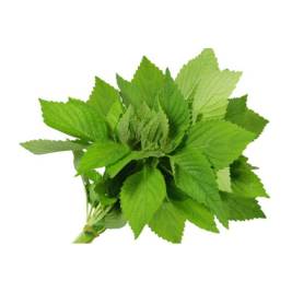 Vietnamese Balm VietGAP (100g)