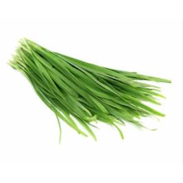 Chives (g)