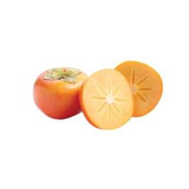 Persimmon Newzealand (g)