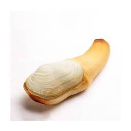 Ốc Vòi Voi NK - Sống (g)