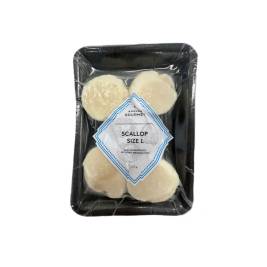 AG Thịt cồi sò điệp ĐL cỡ L (220g)