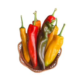 Palermo Ớt sừng ngọt DL Hasfarm (g)