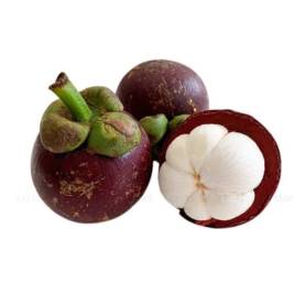 Mangosteen NM (g)