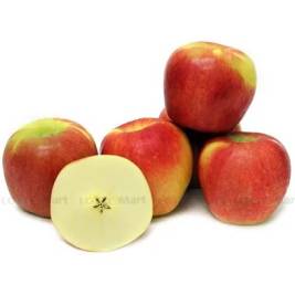 NZL Ambrosia Apple (g)