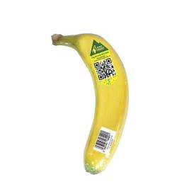 Chuối Bolaven cao nguyên 170g up (trái)