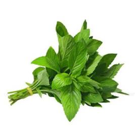 Basil Organic Oryaco (50g)