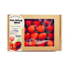 Dâu Tây Giống Nhật (250g)