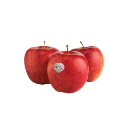 Apple Envy NZL 280g up (g)