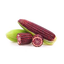 Ruby Queen Corn (Pcs)