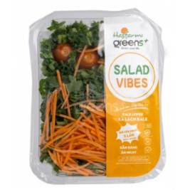 Salad Xà Lách Cải Kale RTE (150g)