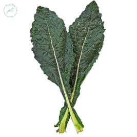 Cải Kale Ý Lacinato (g)