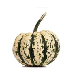 Bí Mật Ong Halloween (g)