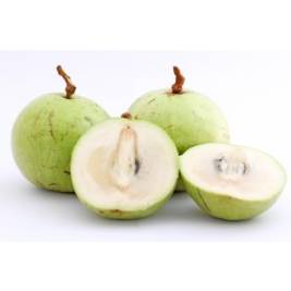 Star Apple Lo Ren PHT (g)