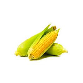 Sweet Corn Hosheki (2 pcs)