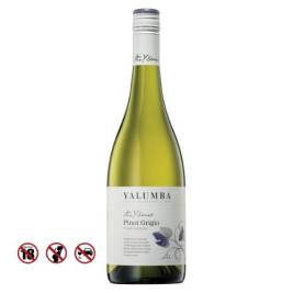 Rượu vang Y Series Pinot Grigio 13% (750ml)