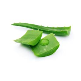 Aloe Vera SNF (g)