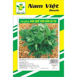 NV Seed of Basil