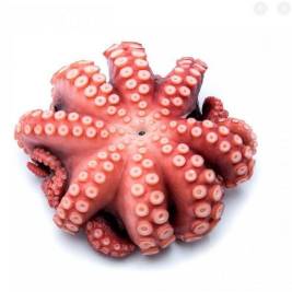 Akuruhi Tako Octopus (g)