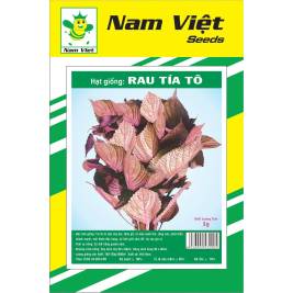 Hạt Giống Rau Tía Tô