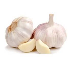 Garlic Lotus (300g)