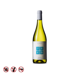Rượu vang trắng Talamonti Trebi Trebbiano d'Abruzzo DOC
