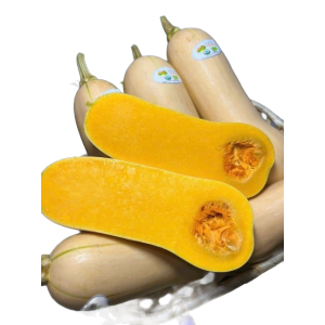 Pumpkin Ho Lo Organic SNF(g)