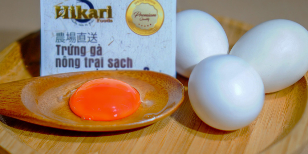 hikari eggs safe for high cholesterol