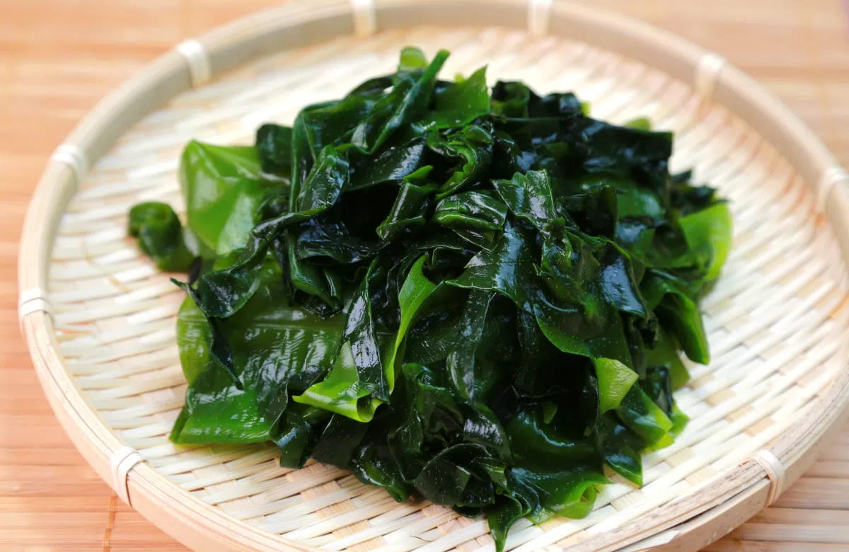 rong-bien-co-nhieu-loai-dem-den-vo-van-loi-ich