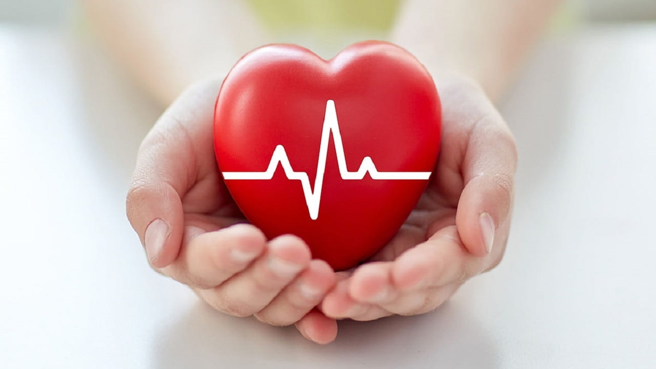 Sức khỏe tim mạch được cải thiện khi ăn hạt đậu gà
