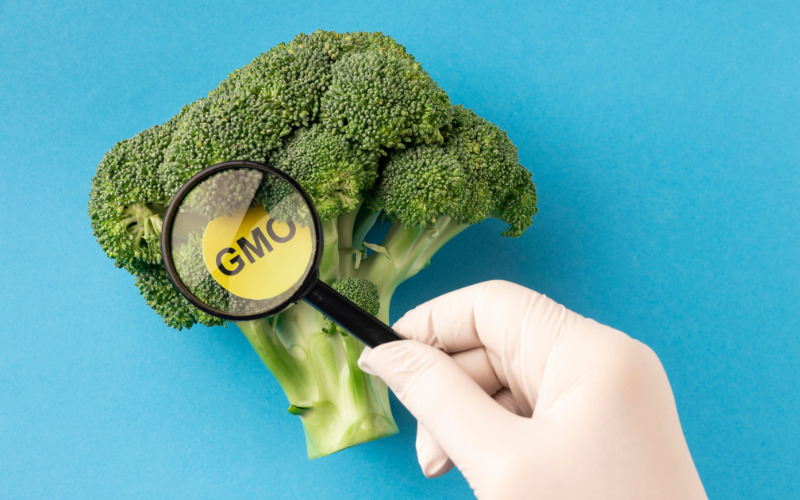 khong-su-dung-gmo