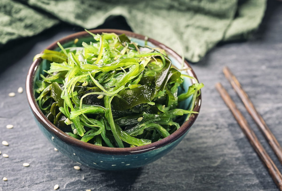 Mỗi loại tảo có đặc điểm riêng
