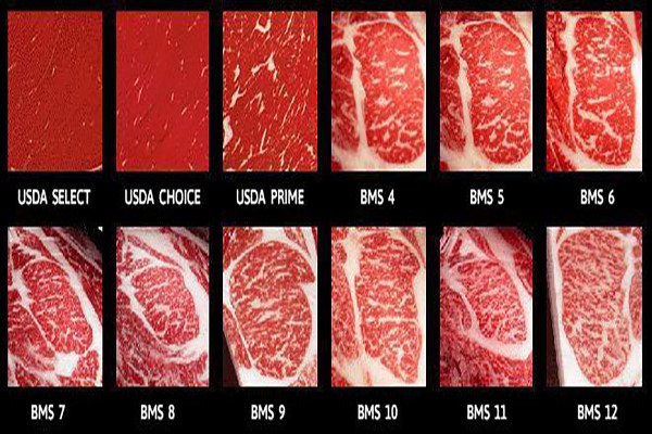 phan-biet-bo-kobe-wagyu