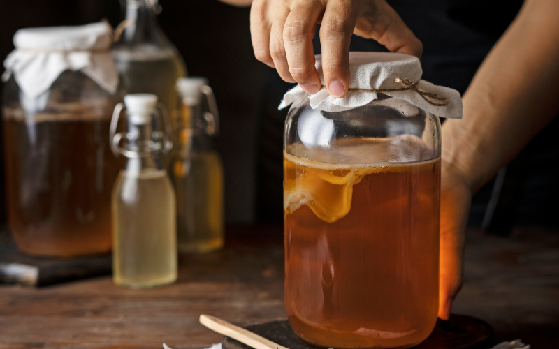 choose-a-stuitable-enviroment-for-your-scoby