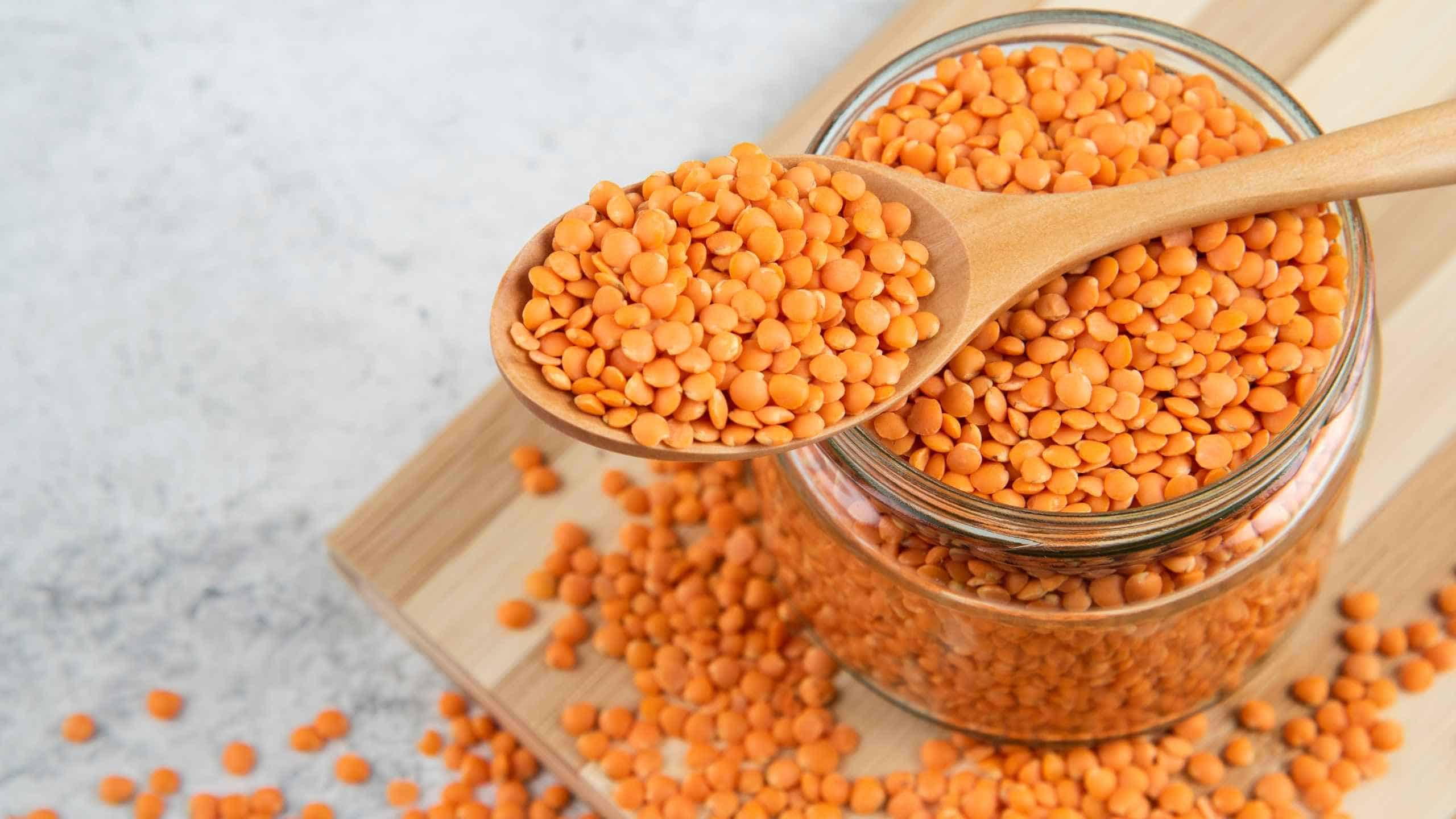 what-is-lentil