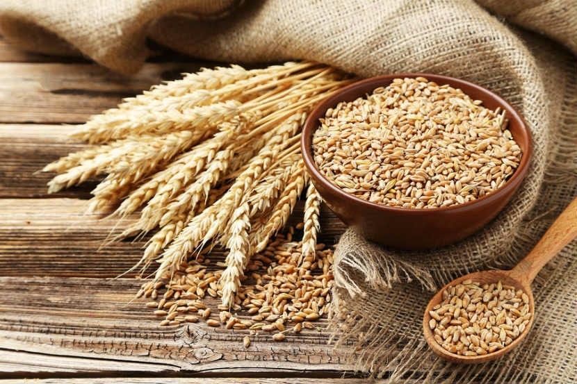 Barley
